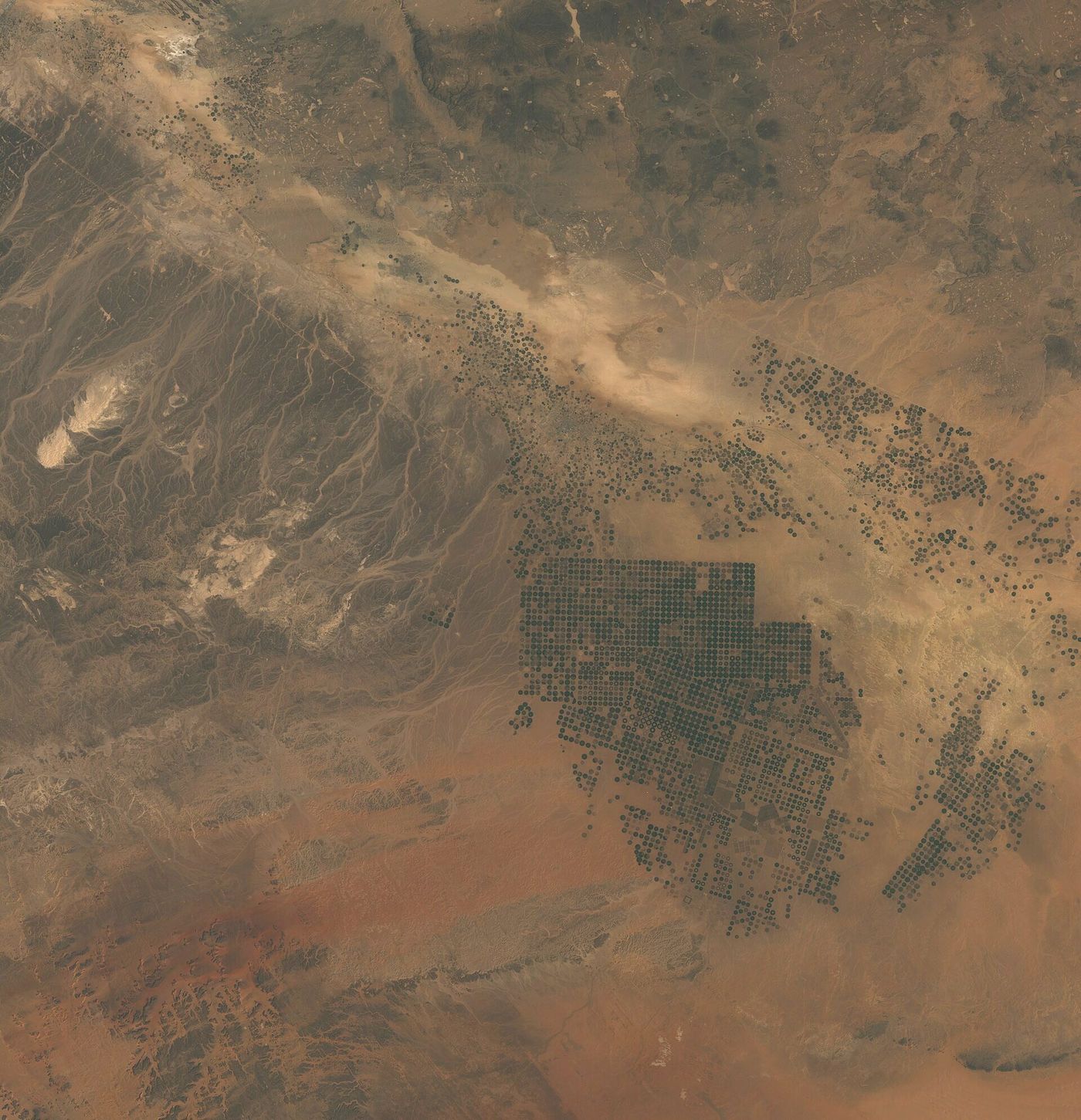 Circular irrigation fields in the Saudi desert from orbit