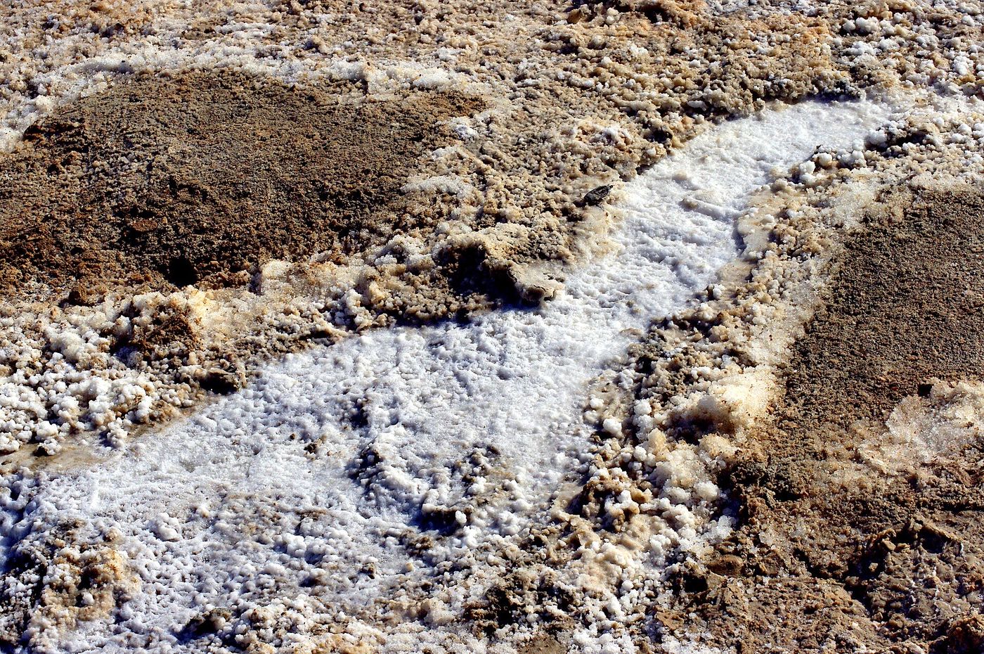 Salt formations on the shore of the Dead Sea