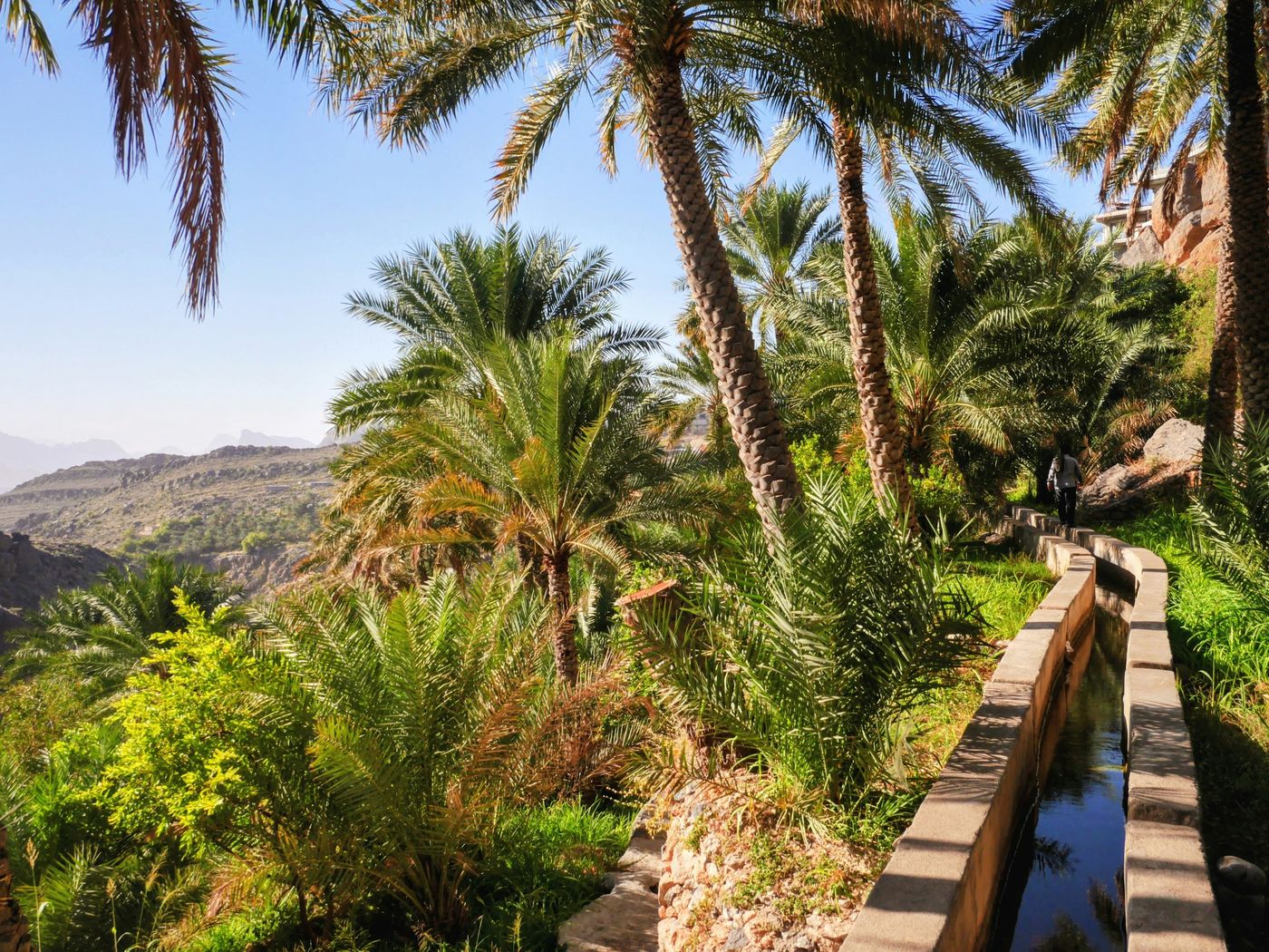 A falaj channel running between date palms and terraced gardens at Misfat al Abriyeen, Oman