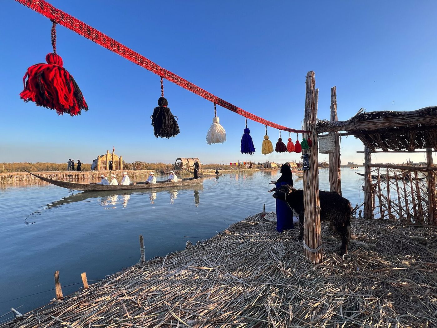 Reed beds in the Mesopotamian marshes near Nasiriyah
