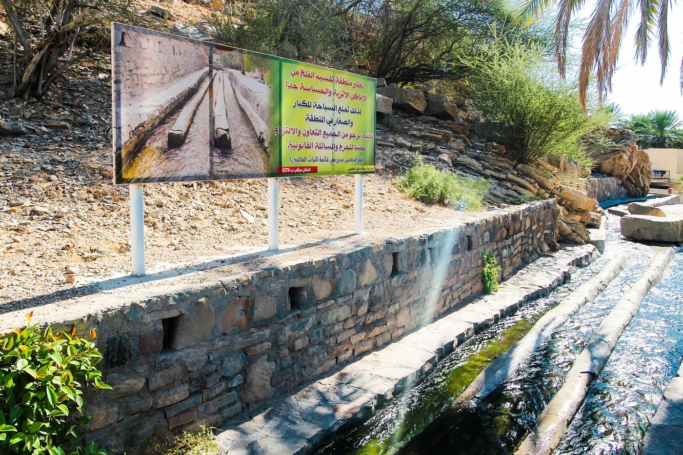 A falaj channel beside date palms in Oman